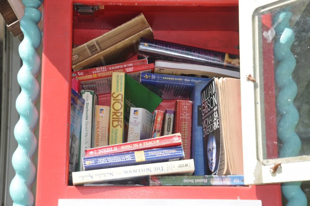 Inside the Little Library