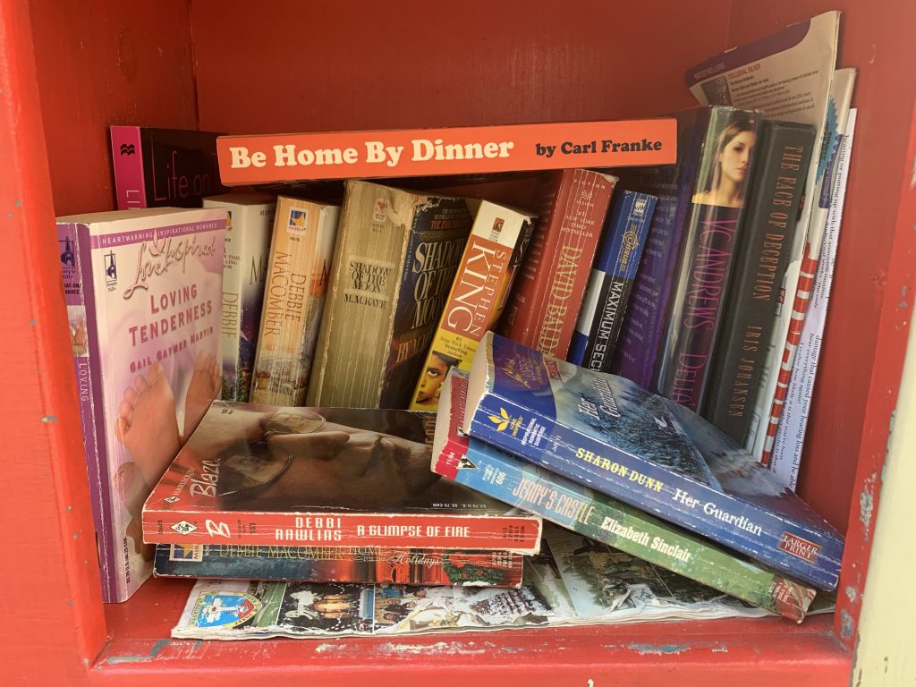 Little Free Library contents