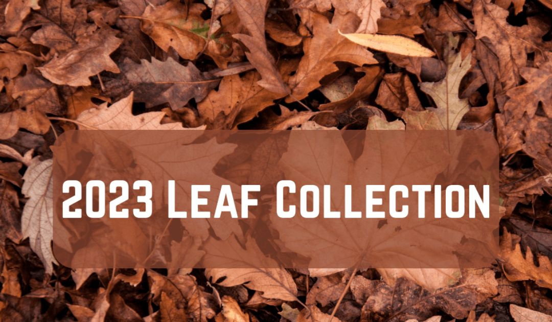 Leaf collection dates Abington, Cheltenham, Jenkintown, Upper Moreland