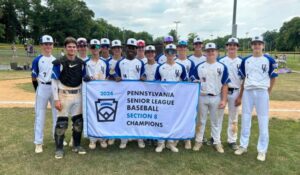 Upper Moreland Senior Little League Wins Semifinal, Will Play For State 