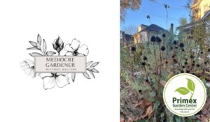 Glenside’s The Mediocre Gardener | November Garden Cleanup: Compost